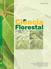 CIENCIA FLORESTAL杂志封面